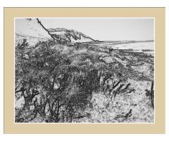 Warden Bay: A Photographic Sketch.